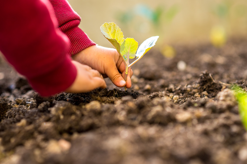 Les optimistes vivent-ils plus longtemps ?